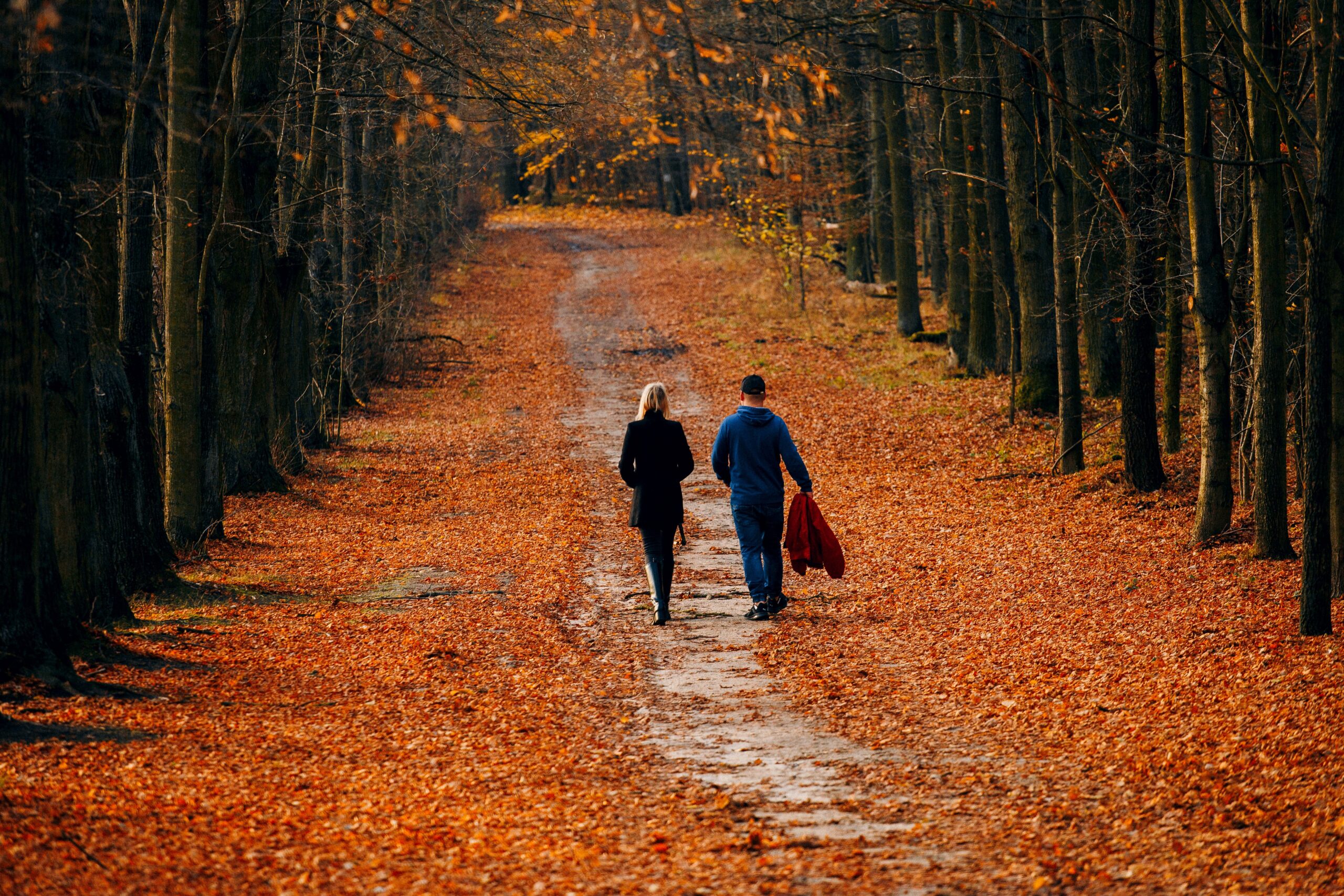 Walking Side by Side: What Happens When Therapy Leaves the Room